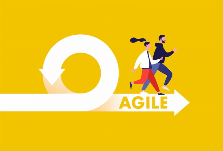 Agile Organizations